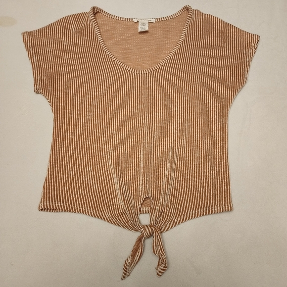 Caution to the Wind Crop Striped Shirt - Picture 9 of 10